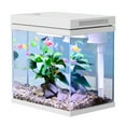 thumbnail image 7 of Fish Tank, 4 Gallon Nano-Aquarium, Upgrade Filter System and LED Light, for Freshwater & Marine, Filter Balls Included (4 Gal), 7 of 7