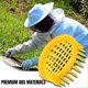 thumbnail image 3 of 20PCS Beekeeping Rearing Box Queen Bee Cell Cage Bee Rearing Tool, 3 of 5