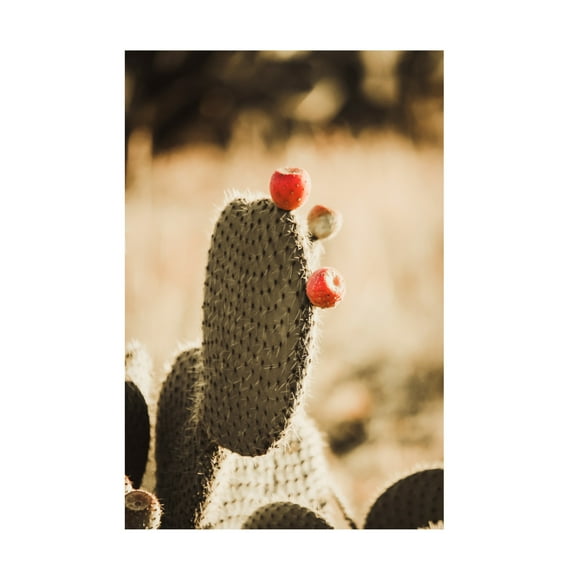 Canvas Wall Art - Krista Broadway 'Habana' Wall Art for Living Room, Bedroom, or Office Décor by Trademark Fine Art - 12 x 19 Inches