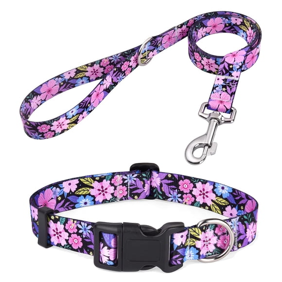 Set de collar y correa para perros Mihqy Bohemia Floral