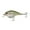 Ghost Shad Scales, variant on 6th Sense – Cloud 9 Series MiniMag Silent Squarebill Crankbait Bass Fishing Lure