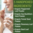 thumbnail image 6 of USDA Organic IBS Capsules for Relief, Ingestion, Bloating, Gas. Irritable Bowel Supplement with 5 Handpicked Organic Ingredients. Peppermint Oil, Sea Buckthorn, Fennel Seed, Rosemary Leaf, Basil Leaf, 6 of 7