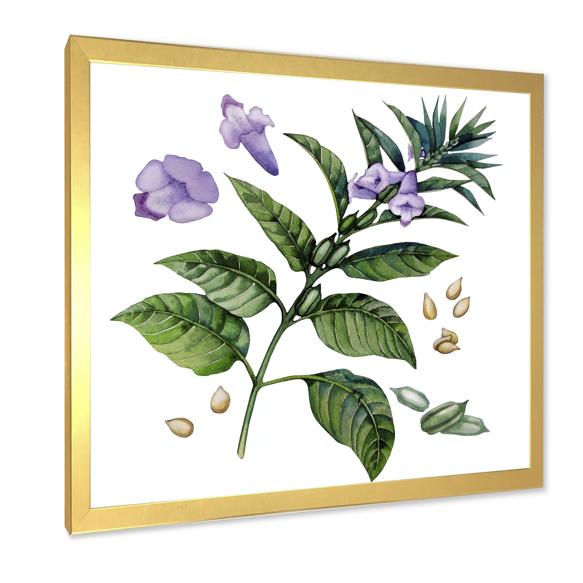 Designart 'Purple Sesame Flowers WIth Green Leaves On White' Traditional Framed Art Print