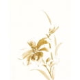 thumbnail image 3 of Gango Home Decor Contemporary Sumi Daylily II & IV Gold by Chris Paschke (Ready to Hang); Two 11x14in White Framed Prints, 3 of 5
