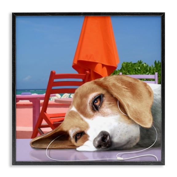 Stupell Industries Eclectic Tired Dog Laying Music Headphones Summer Beach Black Framed Giclee Art, 24 x 24, by Noah Bay