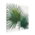 thumbnail image 2 of Janelle Penner 'Welcome to Paradise XII' Canvas Art, 2 of 3