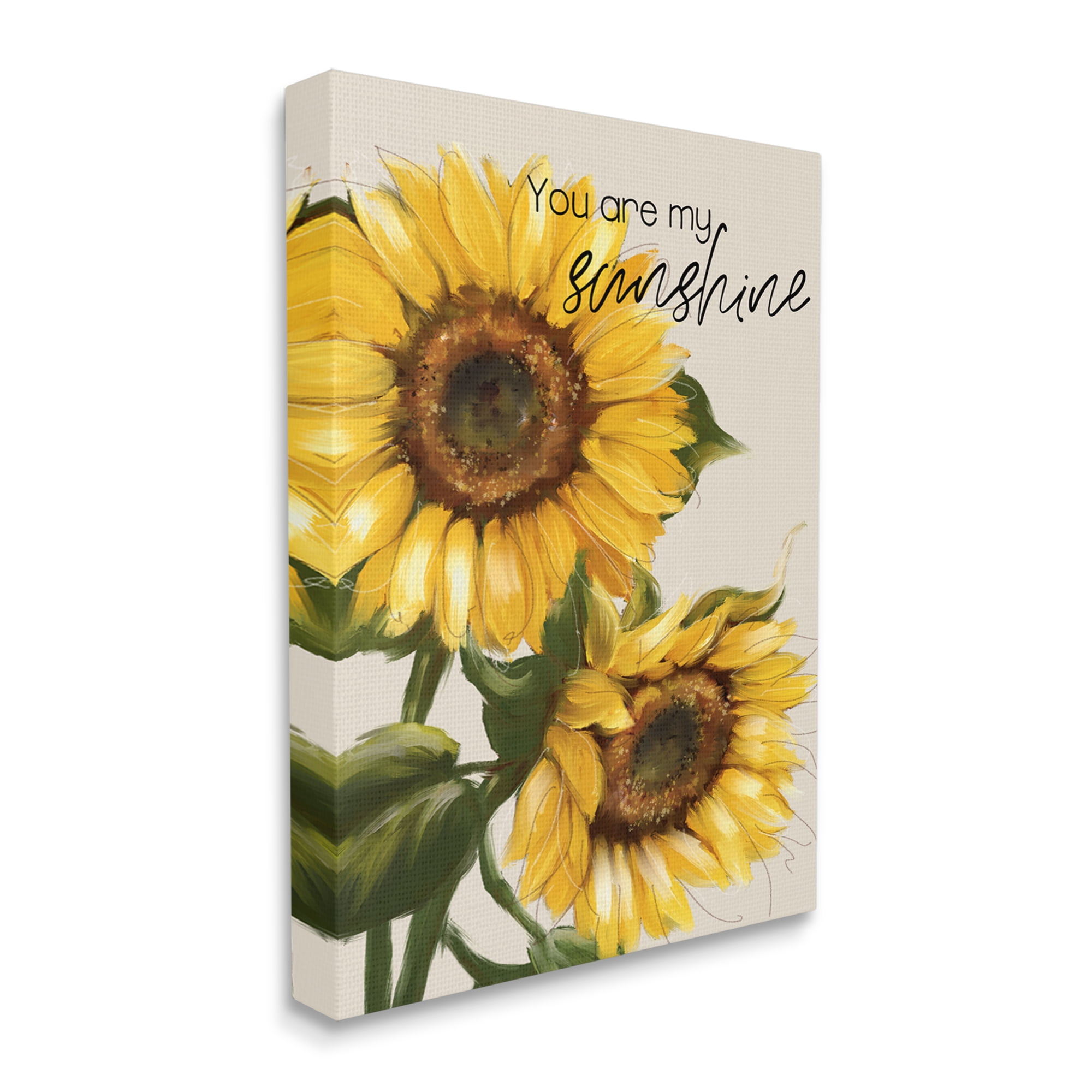 Stupell Industries You Are My Sunshine Vivid Sunflower Blossoms Graphic Art Gallery Wrapped Canvas Print Wall Art, Design by Conrad Knutsen