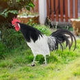 Garden Decoration Fun Plug In Rooster Hen Courtyard Plug In Yard Art garden-decoration-fun-plug-in-rooster-hen-courtyard-plug-in-yard-art