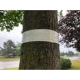 thumbnail image 2 of APT Insect Barrier Tree Tape, Sticky Bands for Trees, Weatherproof, 2" x 30 yards, 1 Roll/Pack, 2 of 5