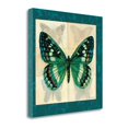 thumbnail image 2 of 20" x 20" Silk Butterfly II By Sue Schlabach- Print on Canvas Fabric Multi-Color, 2 of 2