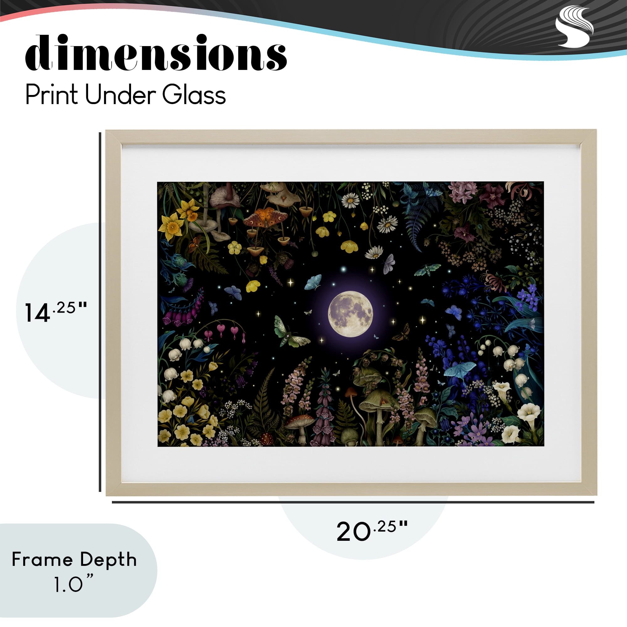 Stupell Industries Night Garden with Moth Birch Framed Print Under Glass, design by Episodic Drawings