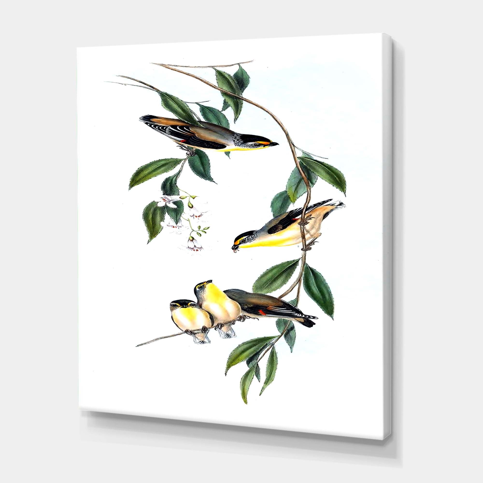 Designart ' Ancient Bird III ' Traditional Canvas Wall Art Print