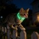thumbnail image 4 of Collar De Plástico Collar de seguridad LED recargable por USB para perros pequeños, medianos y grandes (1 unidad) JASKFLY, 4 of 9
