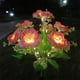 thumbnail image 2 of Toystoory Luces de flores con energía solar Luces decorativas para césped al aire libre Patio Jardín Luz de piso al aire libre Iluminación y accesorios rojo, 2 of 6