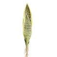 thumbnail image 1 of Planta realista Naiovety Decoración 3 hojas 40 CM hipoalergénico para mascotas, 1 of 6