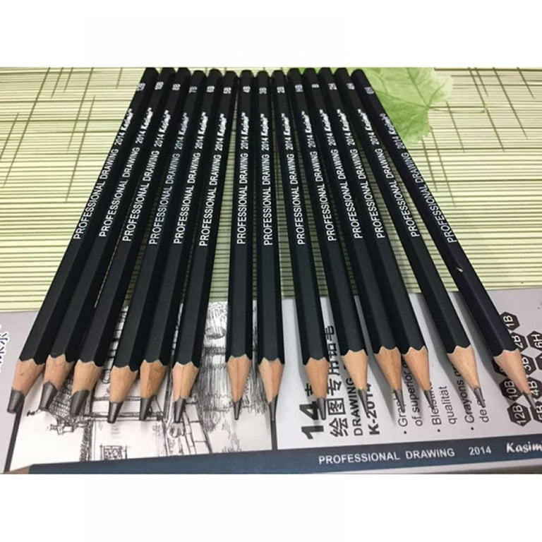 Sketching Pencils – 14 Pieces Professional Graphite Pencil Set for Drawing  – 6H 4H 2H HB 1B 2B 3B 4B 5B 6B 7B 8B 10B 12B Art Travel Set - Shading  Pencils, Drawing Art Supplies, Sketching Set 