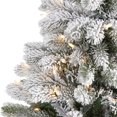 thumbnail image 3 of HomeStock 5Ft. Mediterranean Mingle South Carolina Spruce Artificial Christmas Tree With 300 Clear Lights And 621 Bendable Branches, 3 of 7