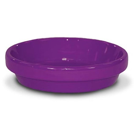 Ceramo 173786 5.75 x 0.75 in. Powder Coated Ceramic Saucer, Violet - Pack of 10