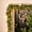 Green#221, variant on Norfolk Artificial Soft Rattan Christmas Garland with Lights Faux Greenery Vine Hanging Decoration for Door Window Indoor Outdoor Holiday 47.24 in