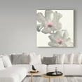 thumbnail image 3 of Trademark Fine Art 'Gray Blush Cosmos I on White' Canvas Art by Chris Paschke, 3 of 3