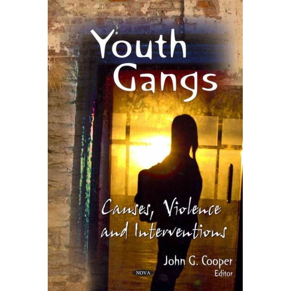 Youth Gangs (Paperback)