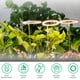 thumbnail image 4 of Injueey Invernadero USB IP20 Control de línea a prueba de agua LED Grow Light Flor de interior Suculenta Temporizador Lámpara de cultivo de plantas Jardín y Patio  1 cabeza de luz solar Injueey HA011800-01B, 4 of 6