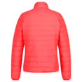 thumbnail image 2 of Regatta - Chaqueta Acolchada Whitehill para Mujer (Rojo Coral Fuego) Regatta UTRG4595_P, 2 of 2