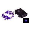 Evergreen Battery Powered Acrylic Icon String Lights, Purple Butterfly