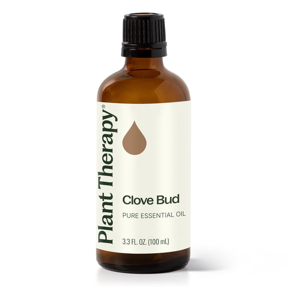Plant Therapy Clove Bud Essential Oil 100% Pure, Undiluted, Natural Aromatherapy 100 mL (3.3 oz)