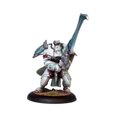 thumbnail image 1 of Privateer Press - Warmachine - Retribution Warcaster Ravyn Eternal Light Model Kit Privateer Press 0716080000000, 1 of 1