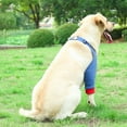 thumbnail image 7 of shenmeida Dog Shoulder Brace Front Leg Brace Canine Elbow Protector Extra Supportive Joint Wrap Arthritis Loss of Stability Helps Wounds Healing Prevents Injuries Sprains, 7 of 7