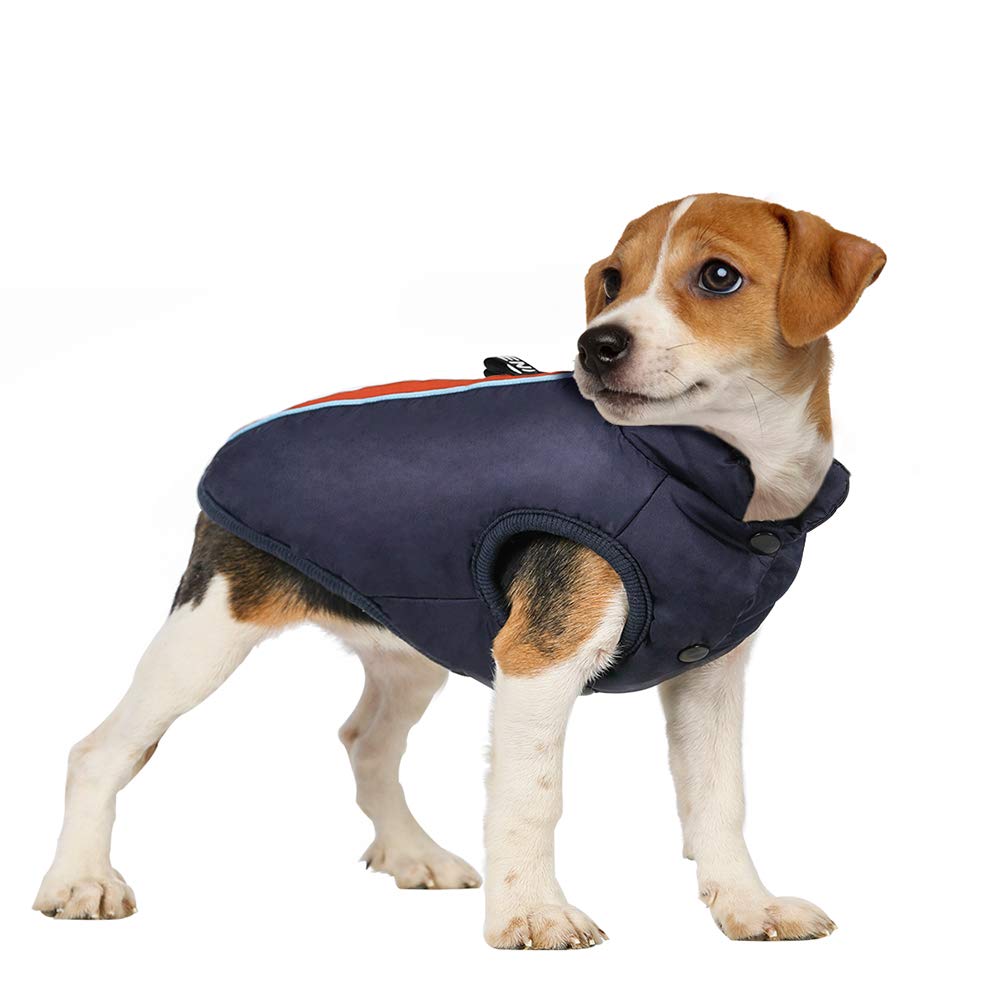 dog winter vest