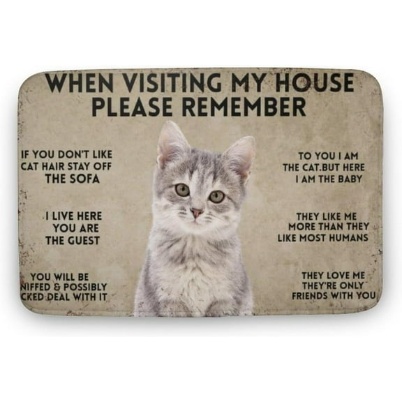 When Visiting My House Please Remember Cat Welcome Door Mats for Outdoor Entrance Funny Door Mat Floor Mat Welcome Mats for Front Door Indoor Non Slip Welcome Mat for Outside Cat Doormat 17x30 Inch