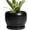 Matte Black, variant on Ceramic Plant Pot - 6 Inch Planter for Indoor Plants, Round Flower Pot with Drainage Hole and Saucer, Modern Succulent Planter Outdoor, House Decor, Plant Lovers Gifts, Black
