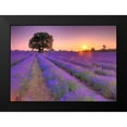 thumbnail image 2 of Frank, Assaf 24x18 Black Modern Framed Museum Art Print Titled - Lavender field at sunset, 2 of 5