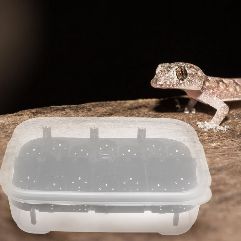 eggtrat 14box Professional 14-Compartment Reptile Breeding Box