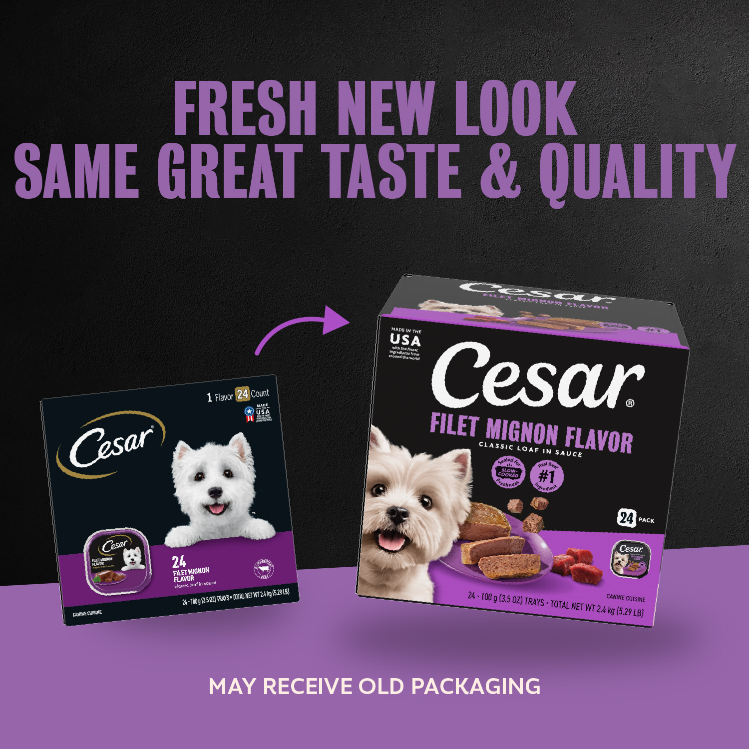 Cesar Classic Loaf in Sauce Filet Mignon Wet Dog Food photo 7