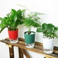 thumbnail image 4 of Toystoory Maceta absorbente de doble capa Maceta de riego automático Maceta para plantas de interior Jardín y Patio verde 19*14.5 cm Toystoory HA041848-01, 4 of 6