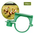 thumbnail image 4 of 100 Anillos Reutilizables para Patas de Aves de Pollo, Bandas para Patas de Aves Verde Yuyangstore Anillos de pierna de paloma, 4 of 7