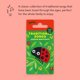 thumbnail image 2 of Tarjeta musical Yoto Traditional Songs de Caspar Babypants Kids, 2 of 8