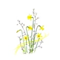 thumbnail image 2 of Parker, Jacky 24x32 White Modern Wood Framed Museum Art Print Titled - Simply Spring, 2 of 4