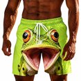 thumbnail image 4 of Fun 3D Animal Face Print Mens Casual Shorts Elastic Drawstring Loose Summer Beach Shorts, 4 of 4