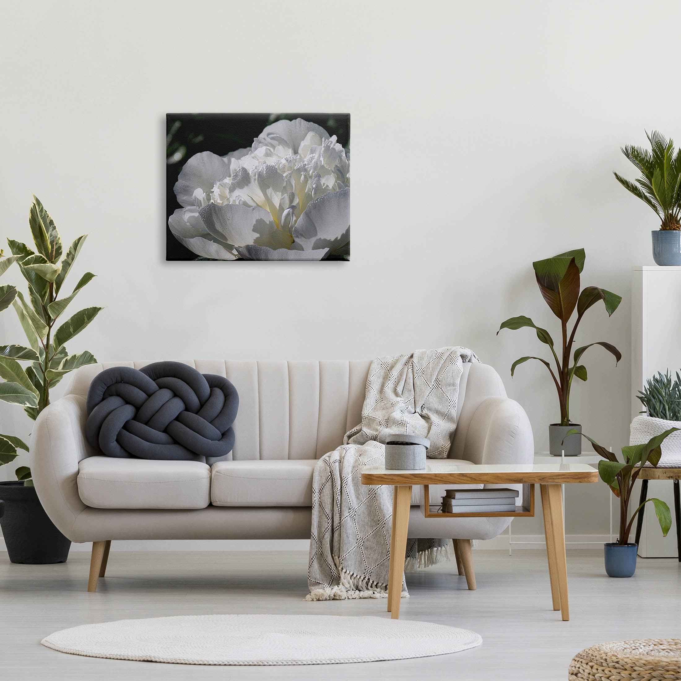 Blooming White Petals Photography Botanical & Floral Photograph Gallery Wrapped Canvas Print Wall Art