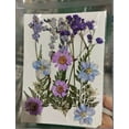 thumbnail image 3 of Dried Flowers for Crafts - Mini Dried Flowers, Tiny Natural Real Dried Pressed Flowers Bulk for Jewelry Earrings, 3 of 9