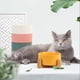 thumbnail image 5 of Cuenco elevado de cerámica para gatos, cuenco básico para perros de agua con soporte de madera antideslizante, protege el cuello para comer-amarillo, 5 of 5