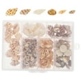thumbnail image 5 of 1 caja de conchas pequeñas, conchas marinas diminutas naturales del océano para decoración de concha de playa en miniatura DIY, 5 of 5