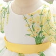 thumbnail image 4 of JAJAHO Toddler Baby Girls Princess Birthday Dress Flower Girl Party Tutu Wedding Formal Dresses Puff Short Sleeve Floral Print Tulle Gown 6M-3Y, 4 of 8