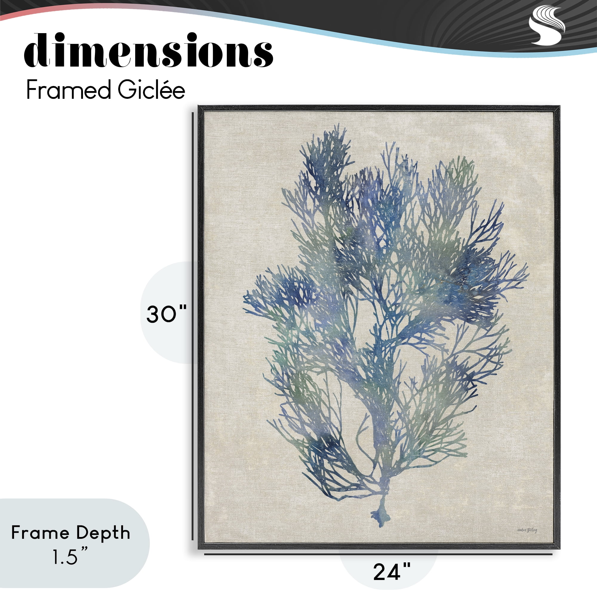 Stupell Industries Misty Blue Coral Study Black Framed Giclee Art, design by Amber Sterling