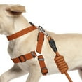 thumbnail image 4 of Polyester Dog Harness Leash Set Training Vest Pet Chest Collar Strap Traction Walking SafetyS, 4 of 14