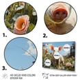 thumbnail image 3 of Designart "Playful Pig Cute Pig in the Flower Field I" Animals Floater Framed Canvas Print, 3 of 7